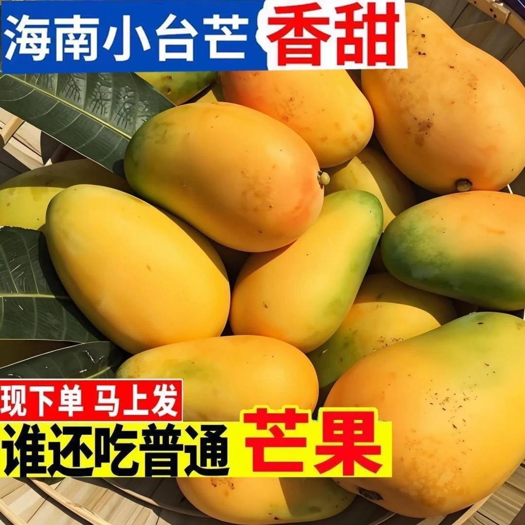 【催熟食用】1海南小台农芒3-5斤小中大果九成熟带黄坏果包赔芒果