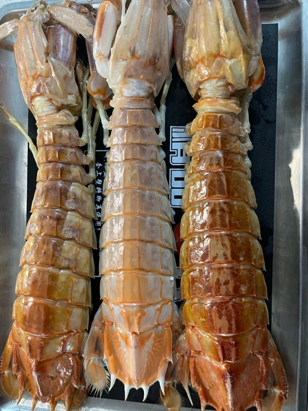 特大号，手臂粗皮皮虾