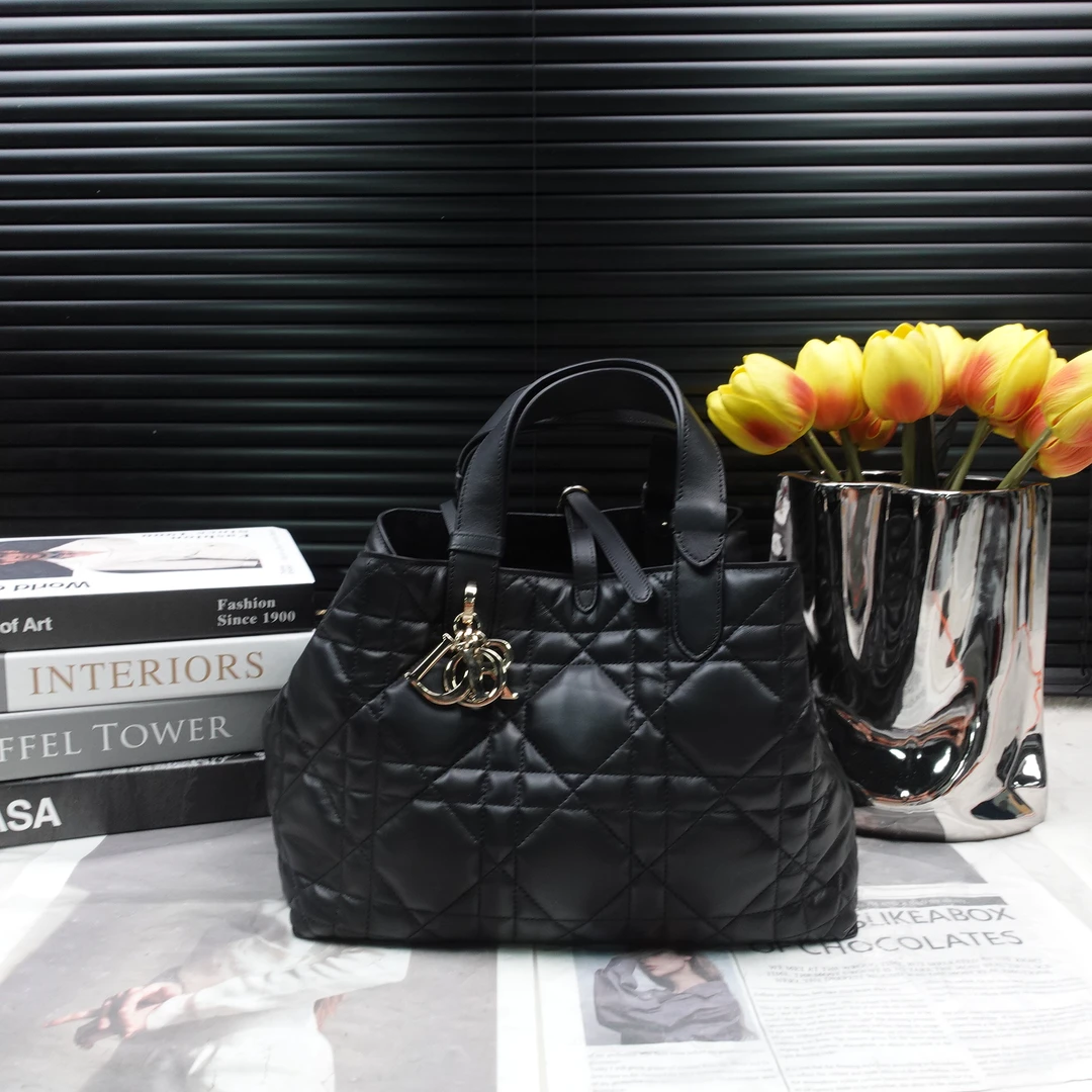 95新 DIOR/迪奥 单肩包/T10328548