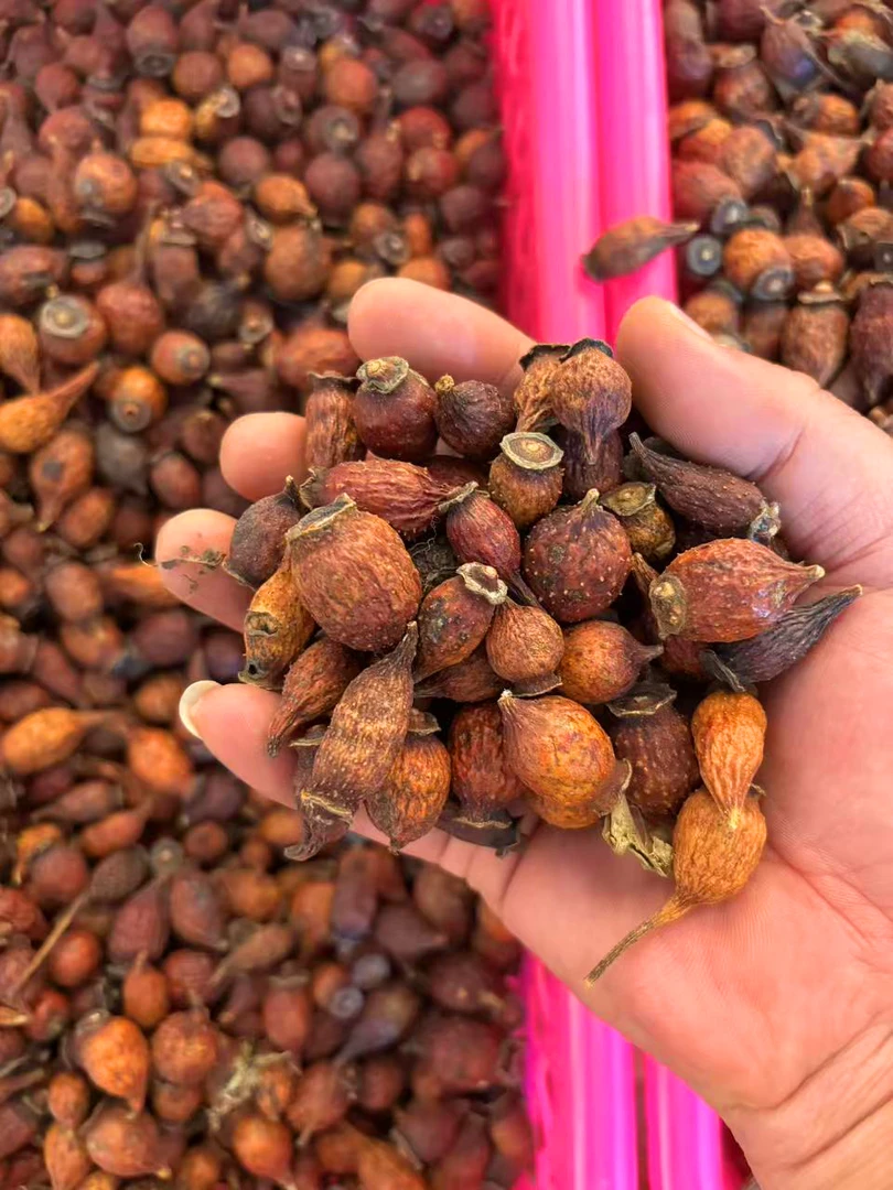 野生金樱子山中土特产