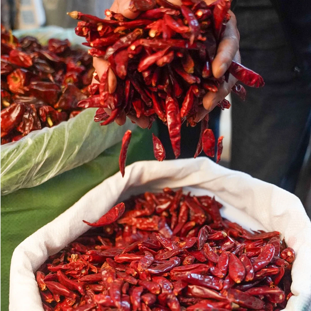 内黄新一代农家套装干辣子辣椒辣皮子5斤装正宗干辣椒辣椒干香辣