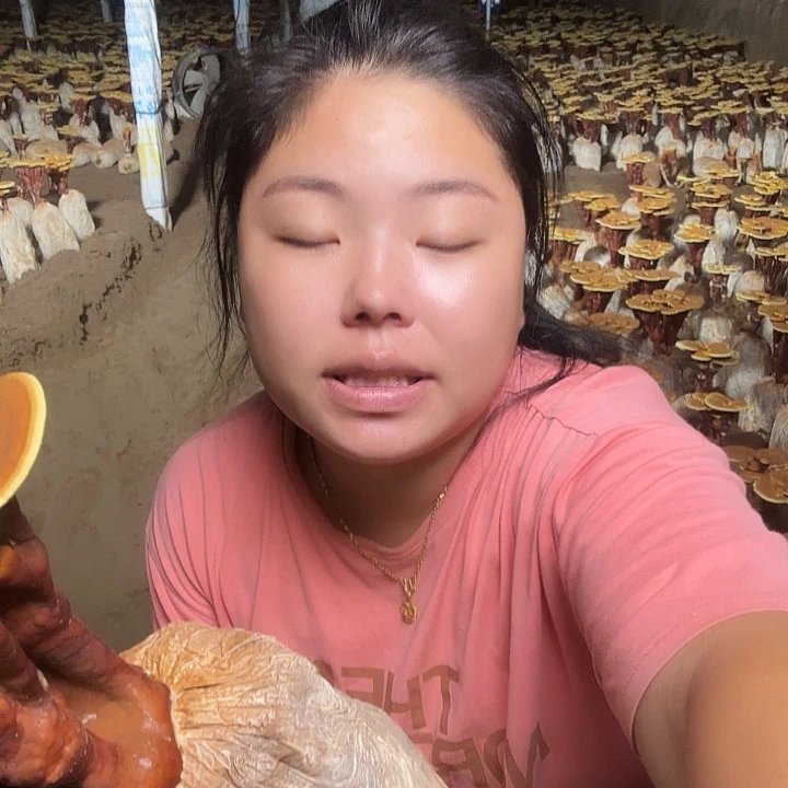 无花朵梦灵芝孢子囊群