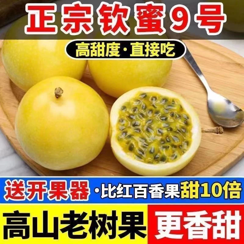 【礼盒装精品果】广西钦蜜9号百香果新鲜当季水果产地直发多汁香甜