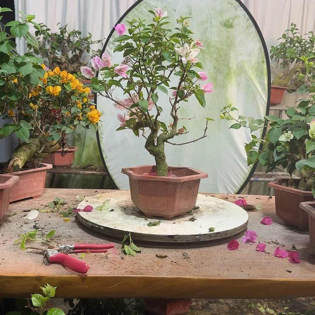 n***范无花朵章红樱一物一拍