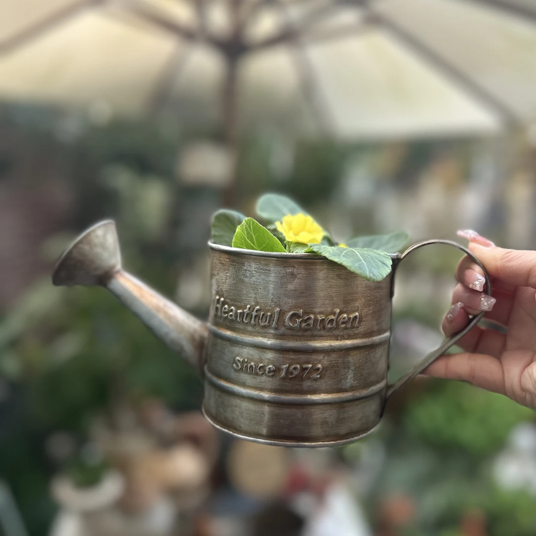 【南乔花园】园艺杂货铁皮做旧铜色桶 草花花盒 有孔