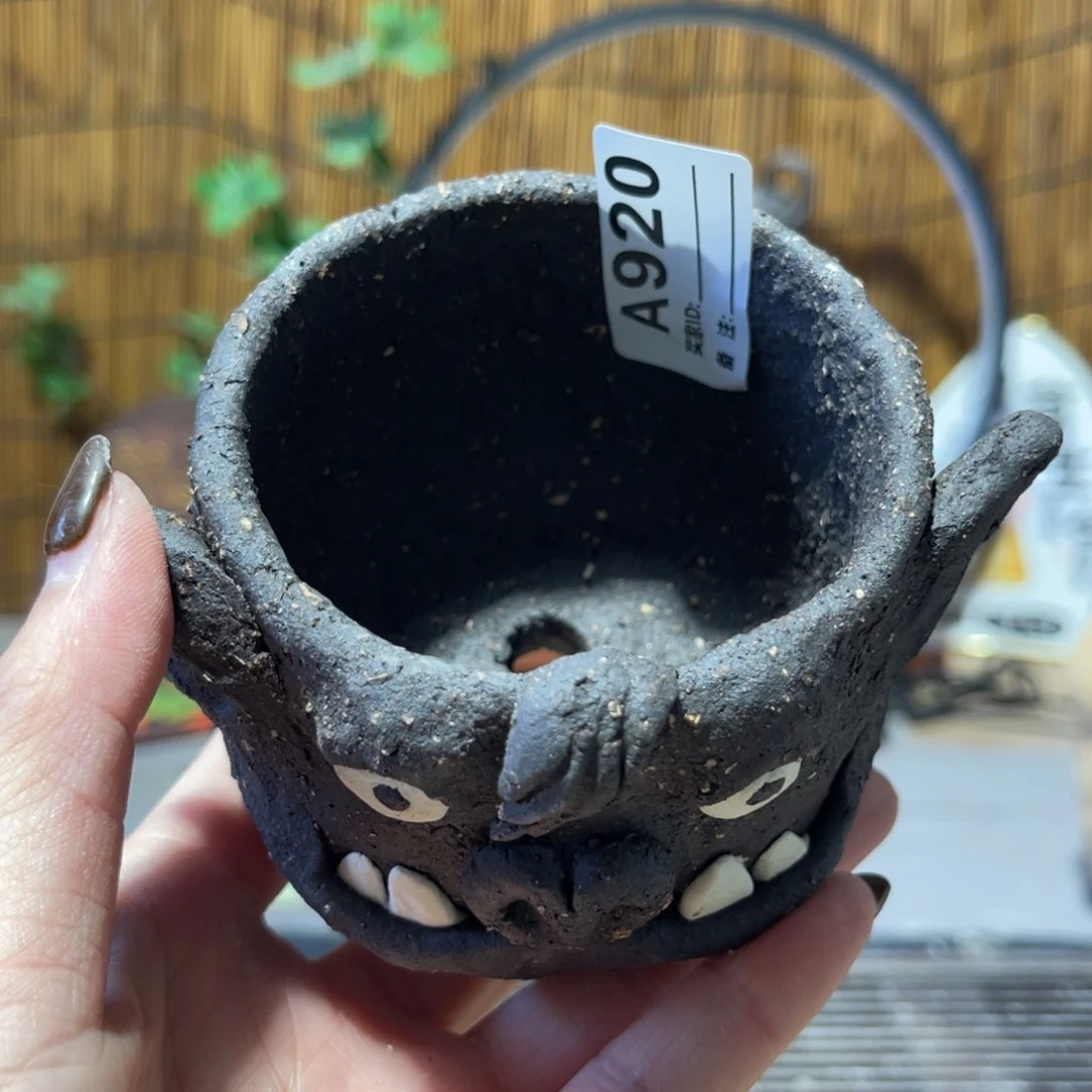 木村信弘柴烧保平