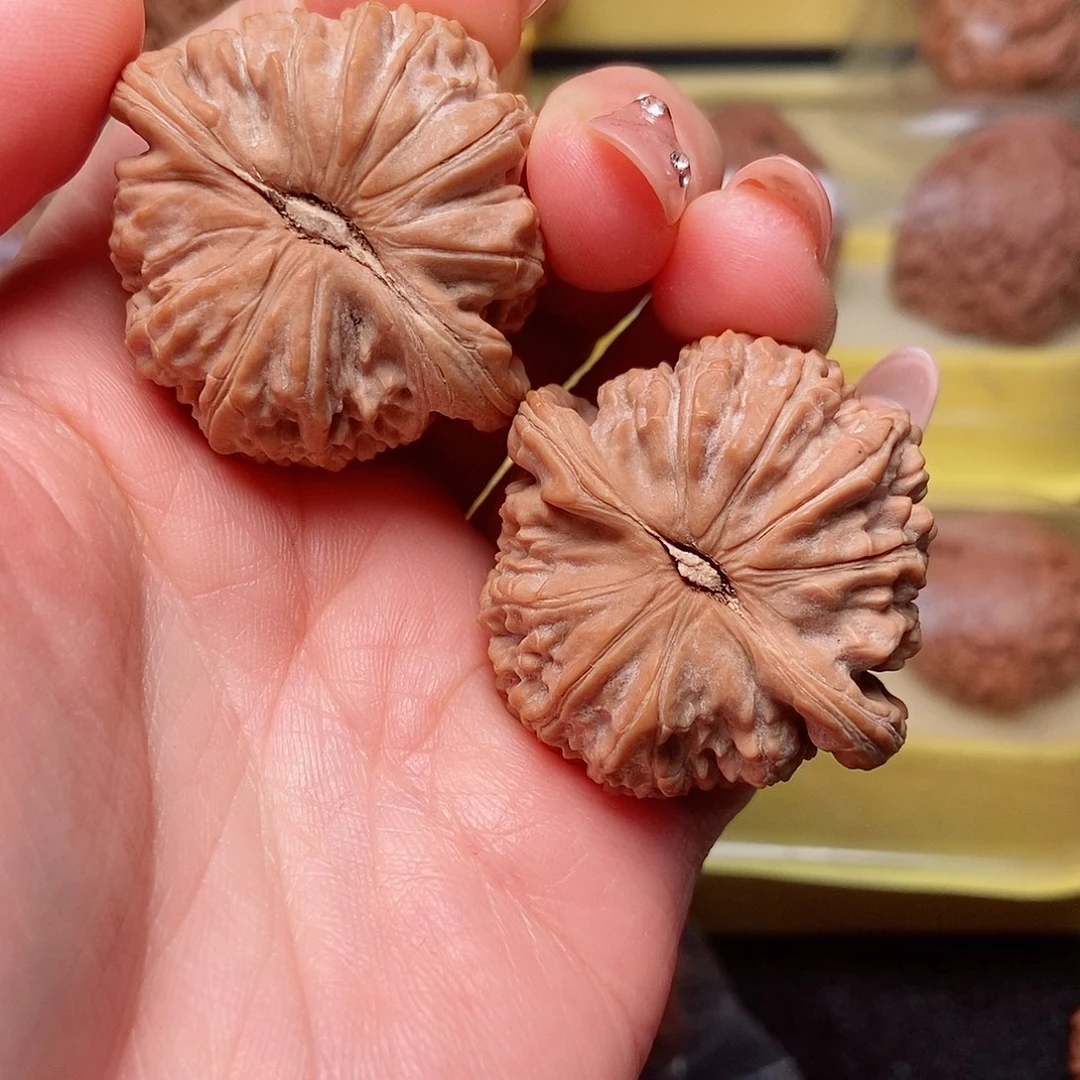 广***仔大叶紫檀（黑酸枝木类）白狮子