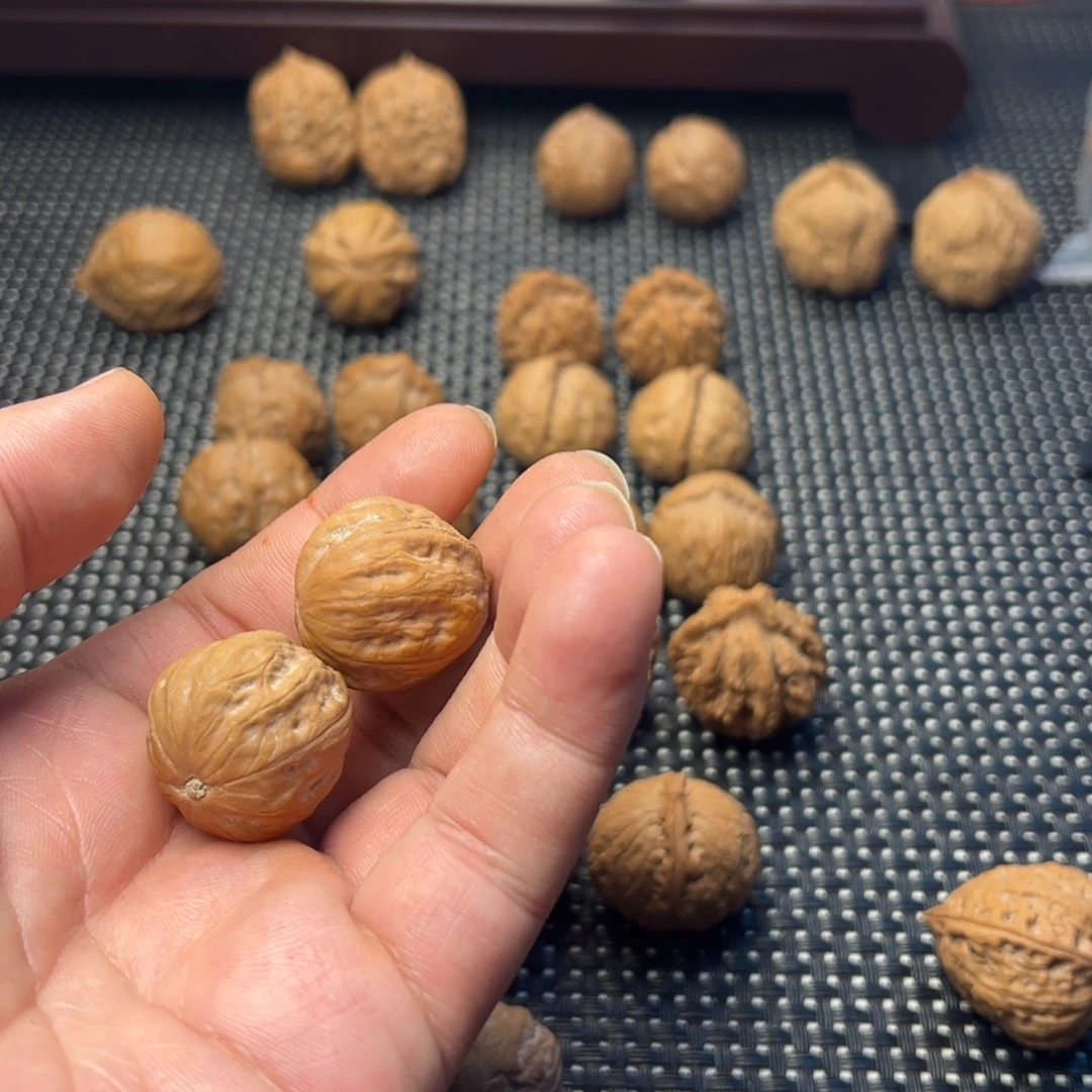 ～***～文玩核桃把件金豆