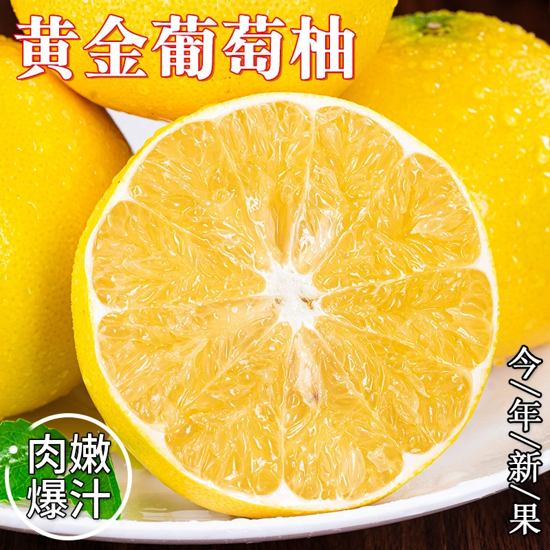 【现货】爆汁黄金葡萄柚新鲜水果福建柚子产地直发应当季蜜柚