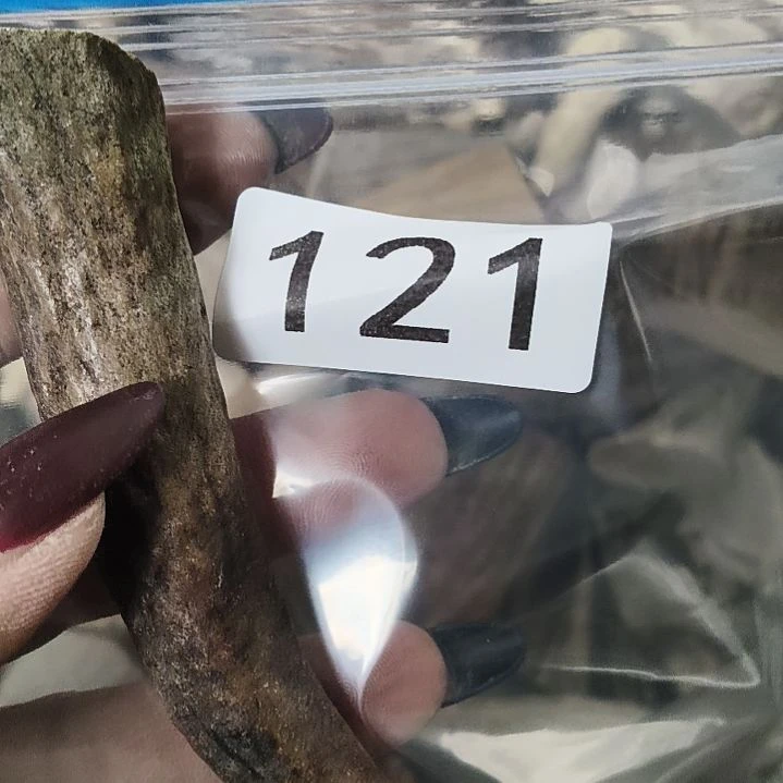 ****我鹿角鹿角鹿角鹿角鹿角鹿角