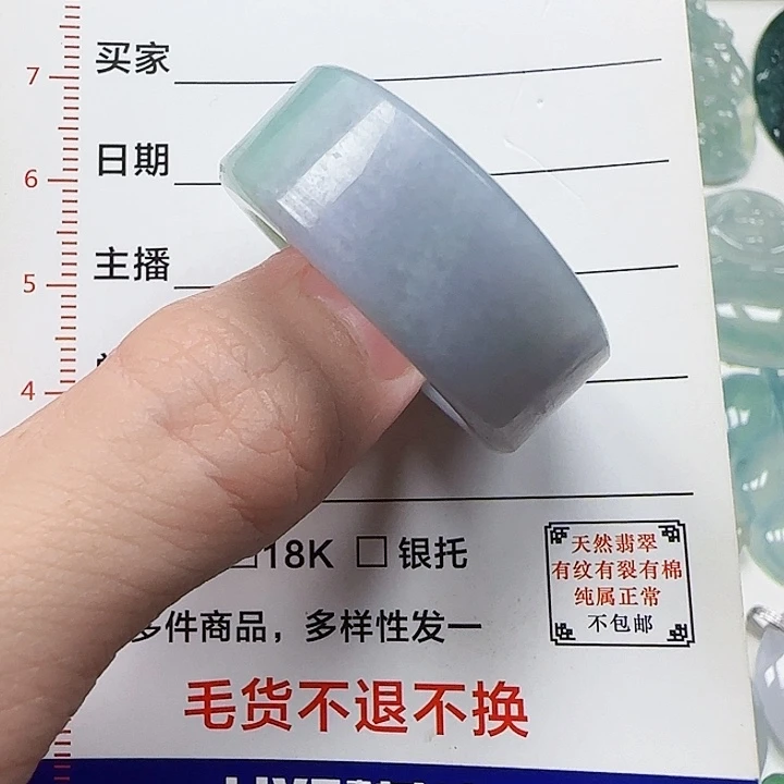 鵬***.翡翠未镶嵌颈饰天然