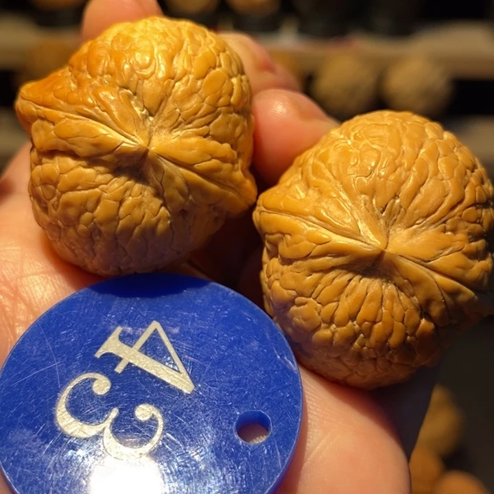 木质类粗筋彩西瓜35尺寸