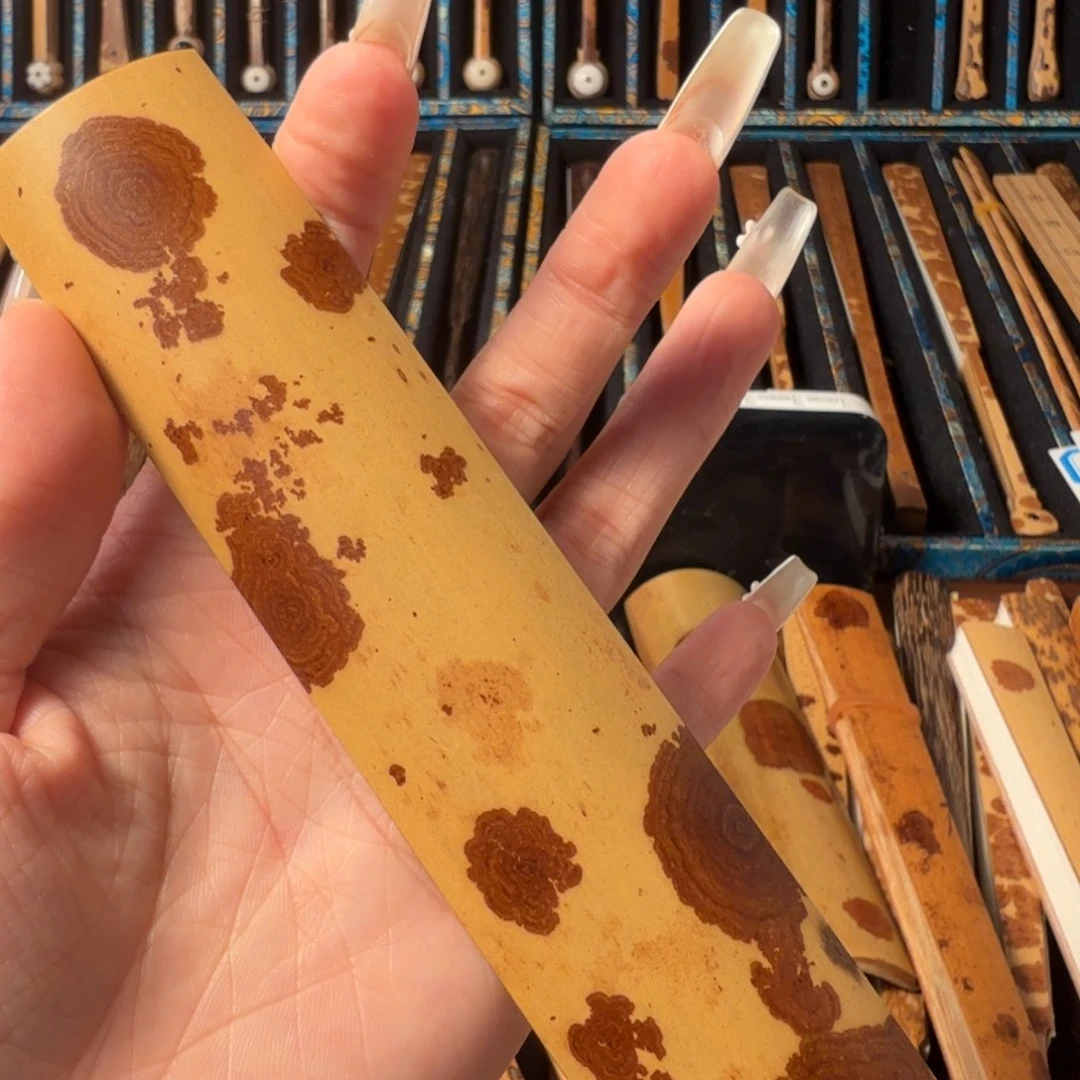 扇子长 4.6 寸 宽 3.0 厘米老云