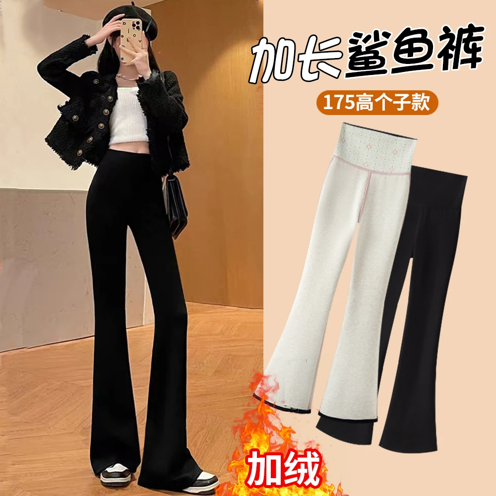 高个子加长款微喇鲨鱼裤女士外穿秋冬加绒窄版阔腿裤高腰微喇叭裤