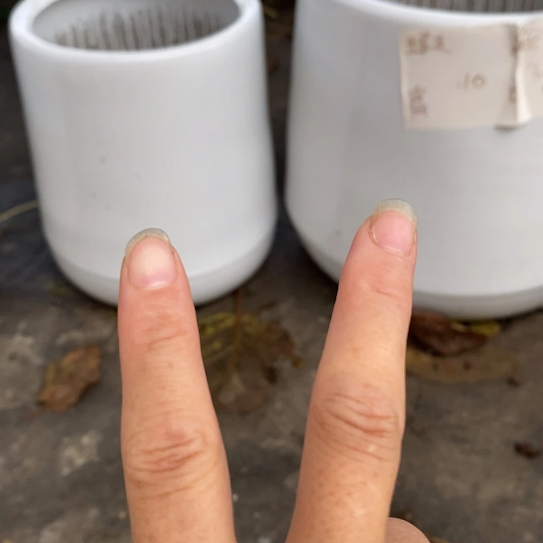 高温陶瓷默认瑕疵