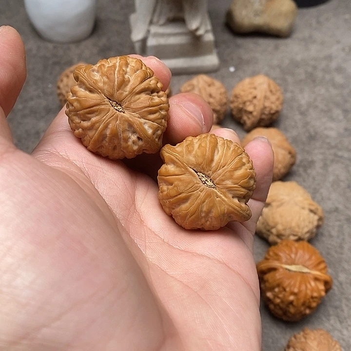 S***U手串/手链核桃38全品乾隆磨