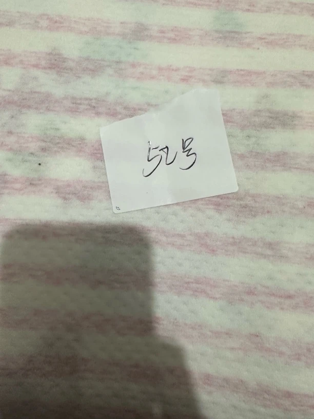 52号双面夹丝绵面料