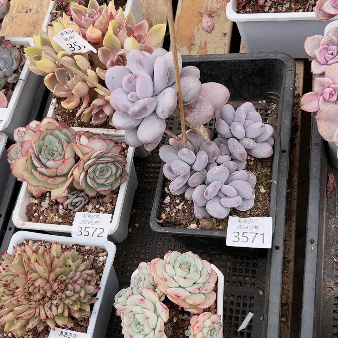 9号N***r我们的确是一3571