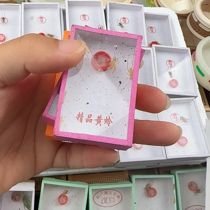 暗瑞玲一条加四盒高山蜡黄蜡黄送饲料
