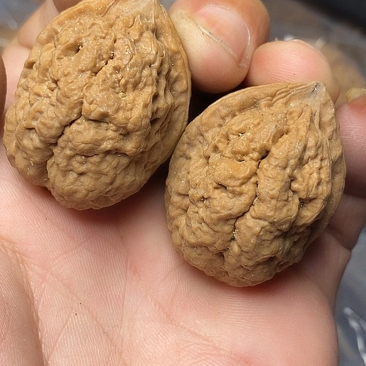 文玩核桃把件云南铁核桃21号36mm