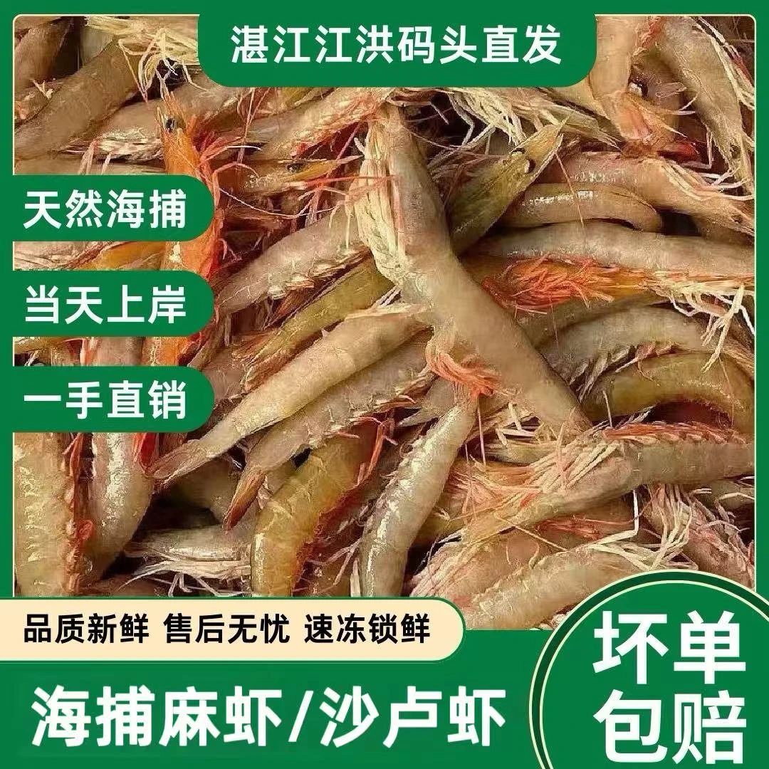 【湛江发货】海捕 麻虾 沙卢虾 Q弹可口 顺丰冷链（部分带膏）