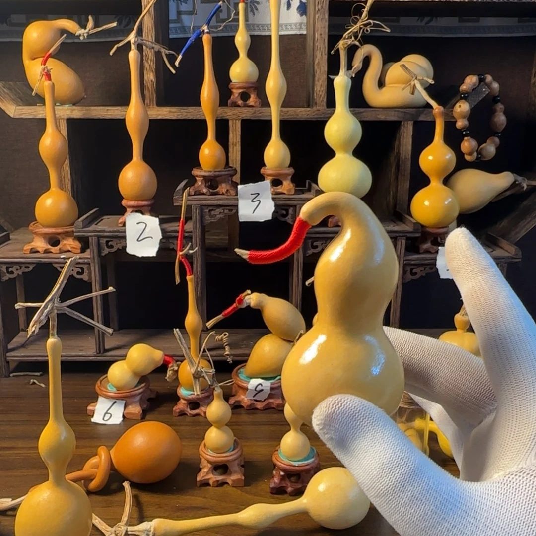 飘***心还积极积极积极积极