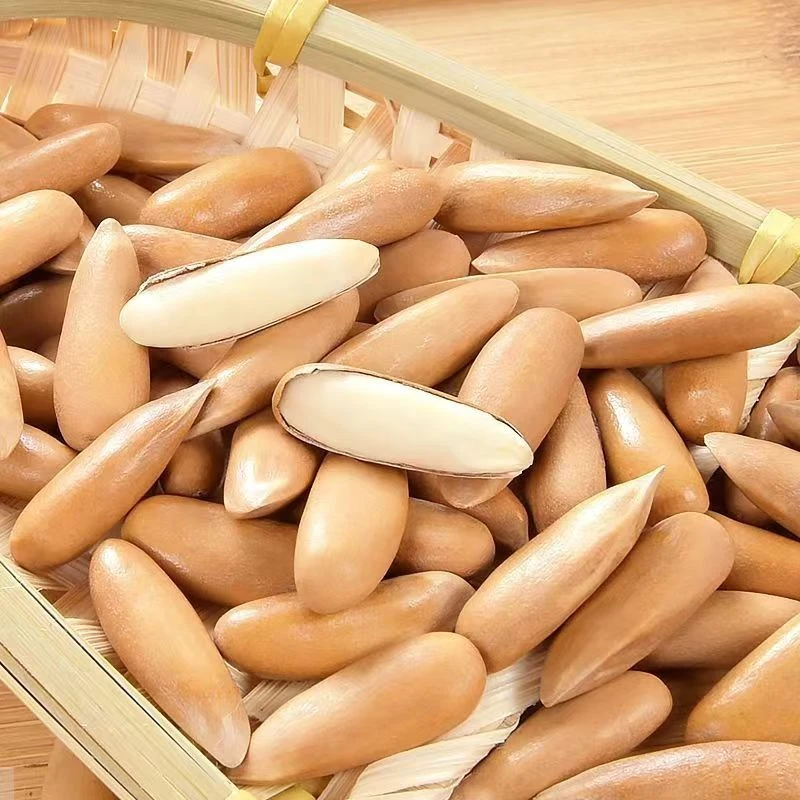 【升级特大颗粒】进口巴西松子手剥松子