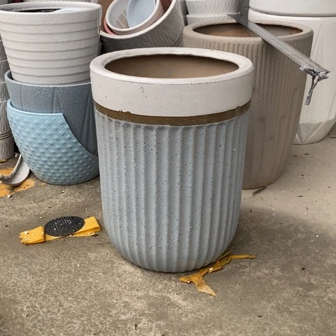 低腰金边蓝中 口25/33