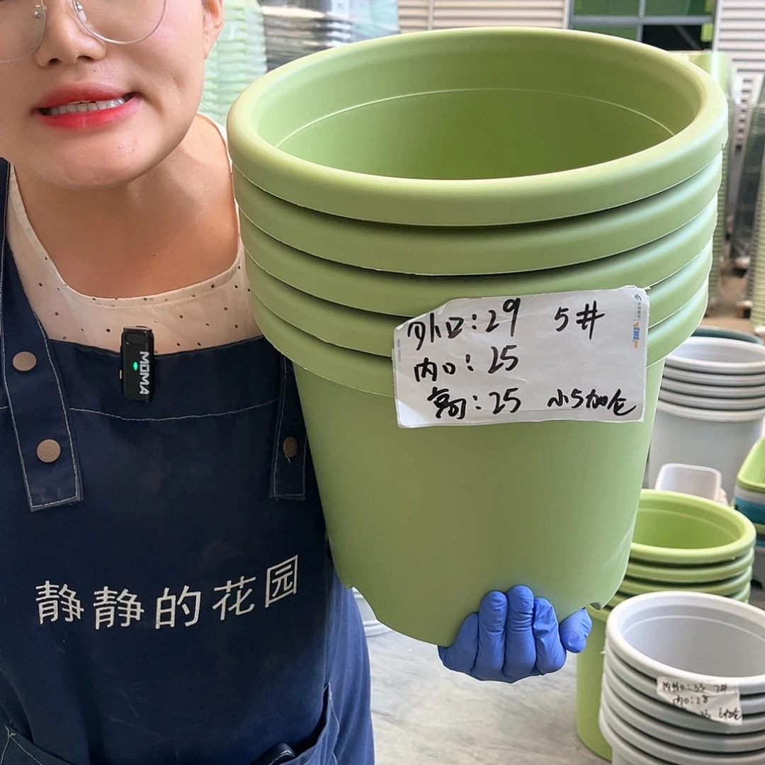 四季盆5#果绿色6个无托