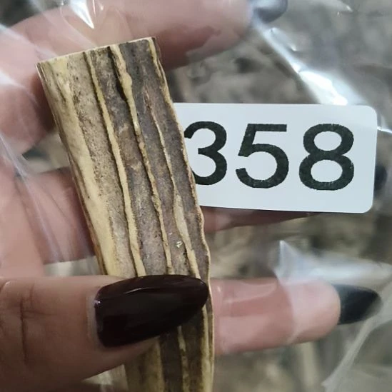 c***o鹿角鹿角鹿角鹿角鹿角鹿角