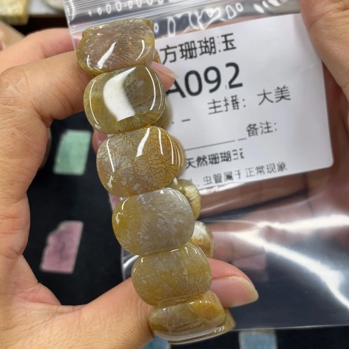 鱼***游硅化珊瑚（珊瑚玉）合金颈饰