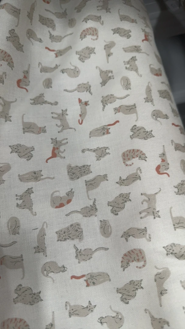 国现北高猫咪白色半米