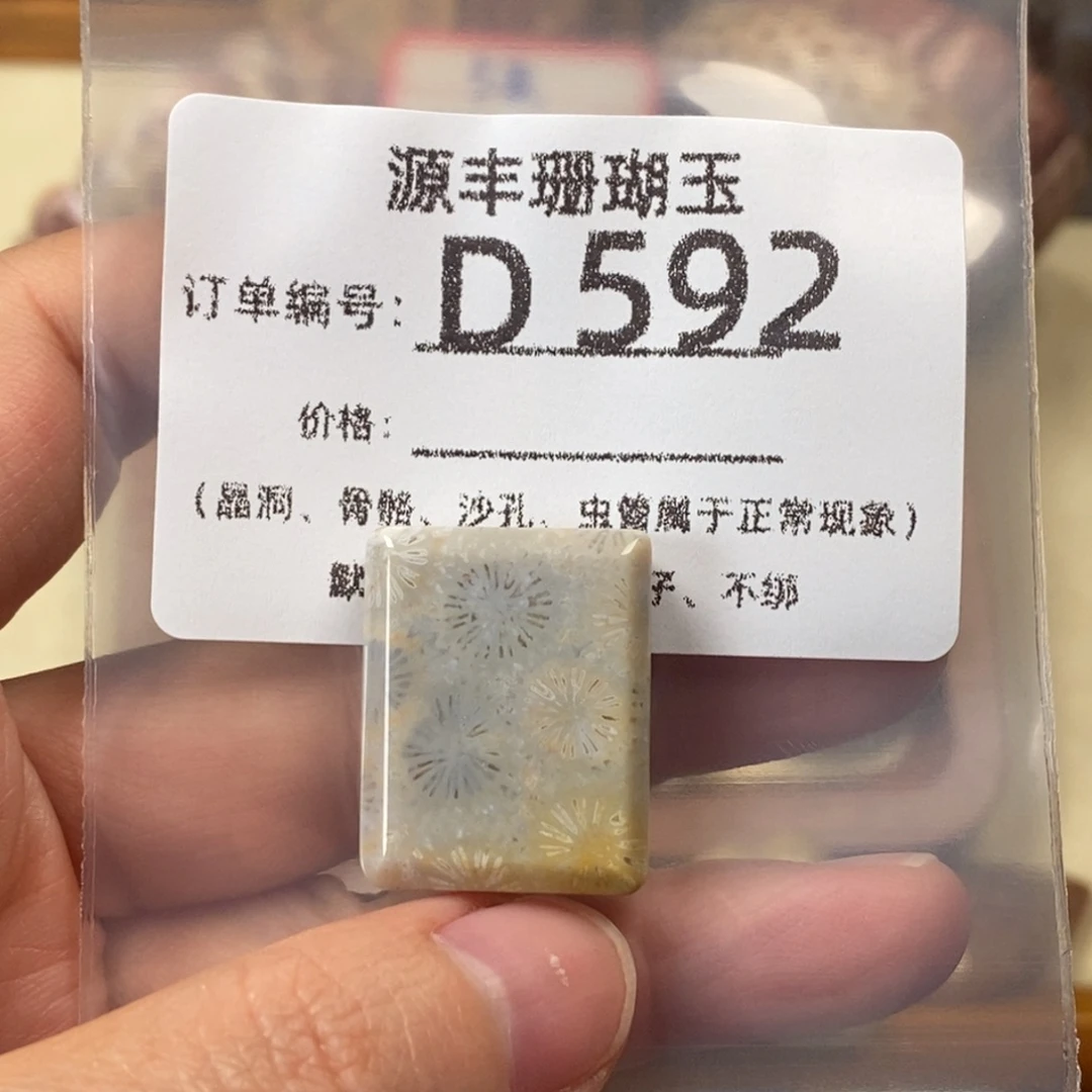 岸***芷硅化玉未镶嵌颈饰