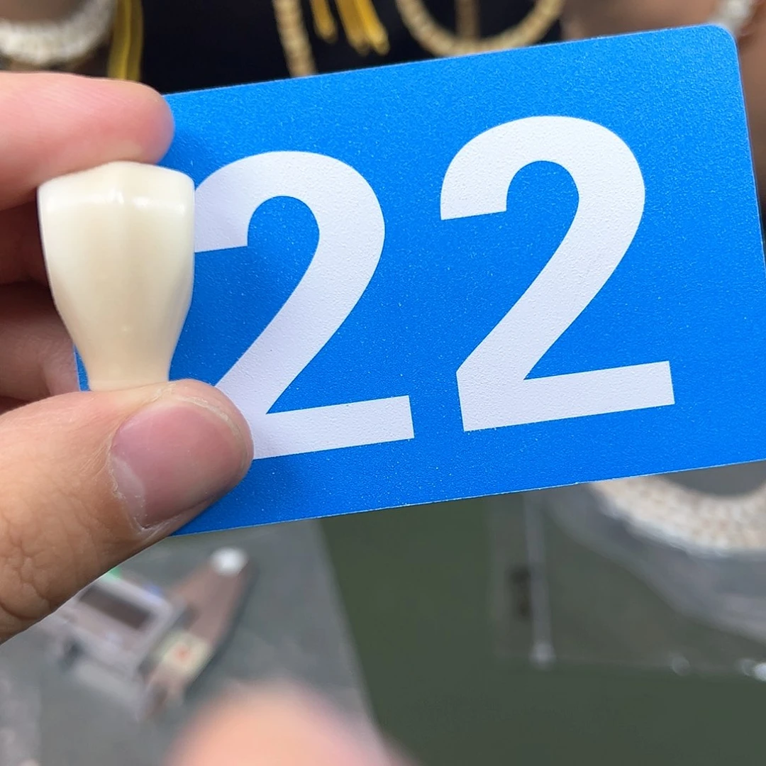 星月菩提手串牙果鲨鱼背三通。  22