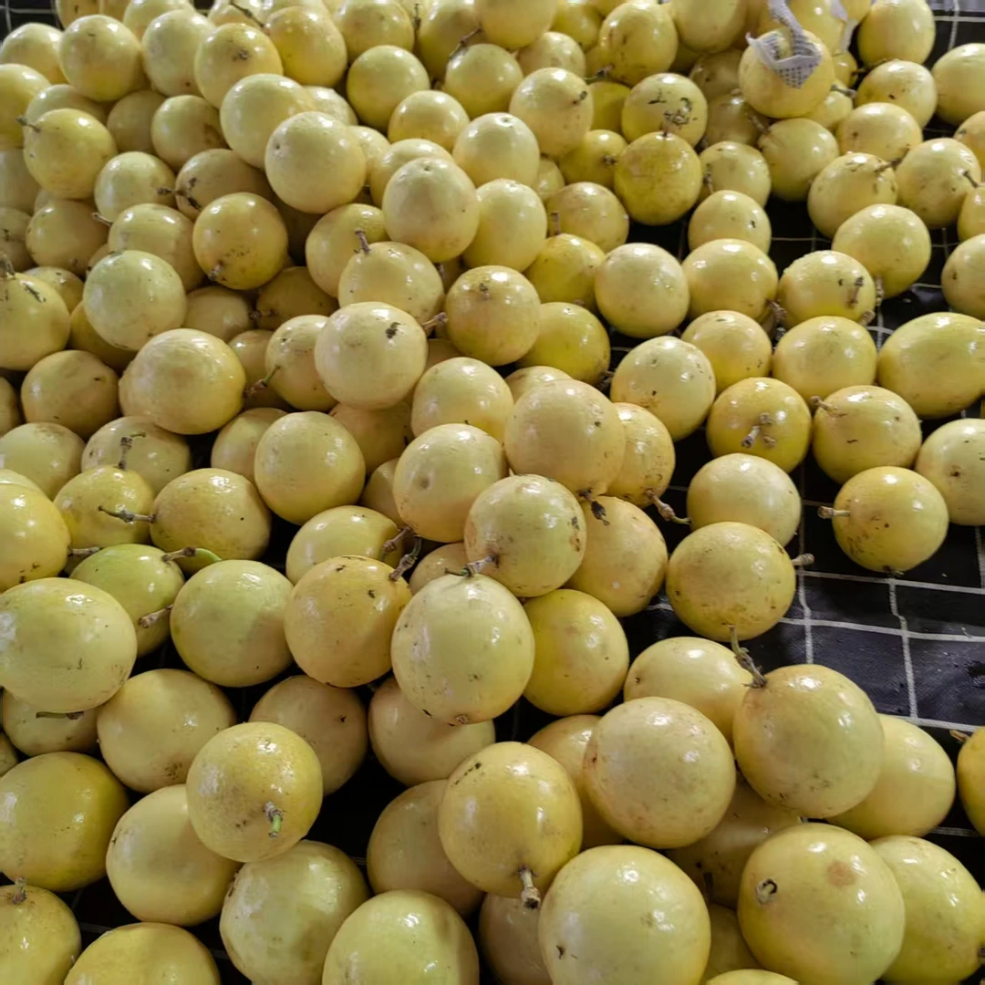 正宗钦蜜9号黄金百香果新鲜采摘香甜多汁产地直发水果