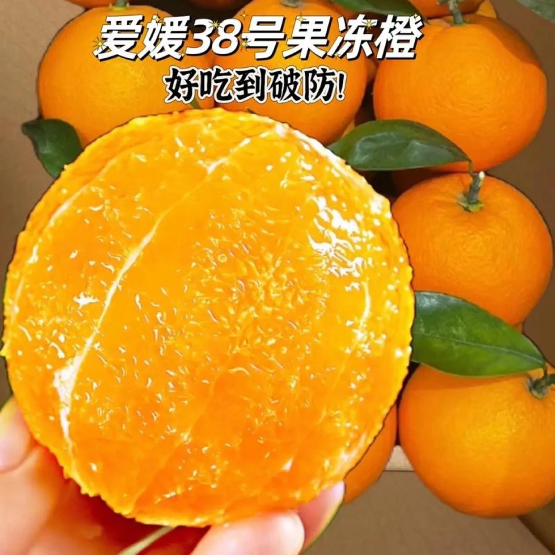 爱媛果冻橙4-4.5斤（搭配菠萝蜜发货）四川省