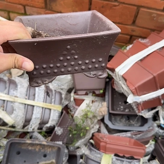 一哈来我这儿吃饭啊亲爱的媳妇