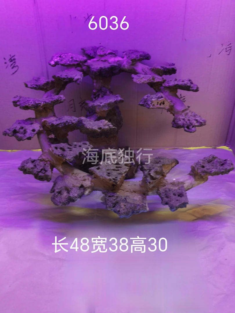 60缸海缸造景活石造景免暴藻快速开缸换景