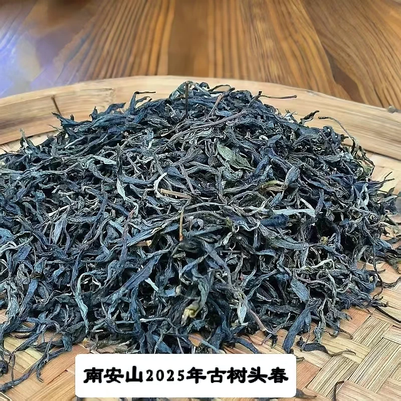 【副支书严选】南安山2025年古树优质头春  散茶