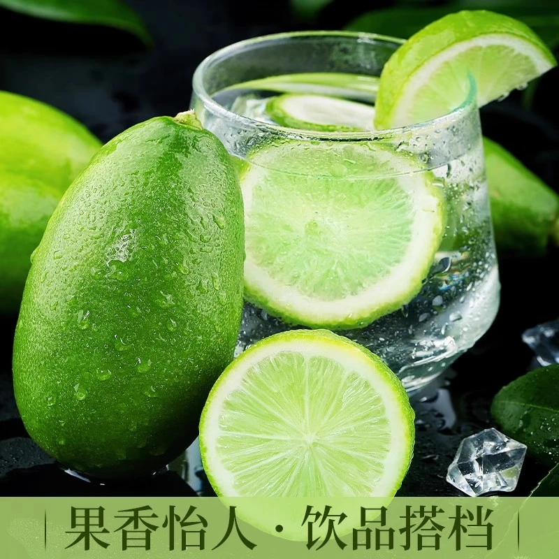 现摘现发无籽香水柠檬清香四溢手打柠檬茶饮品店专用青柠檬水果
