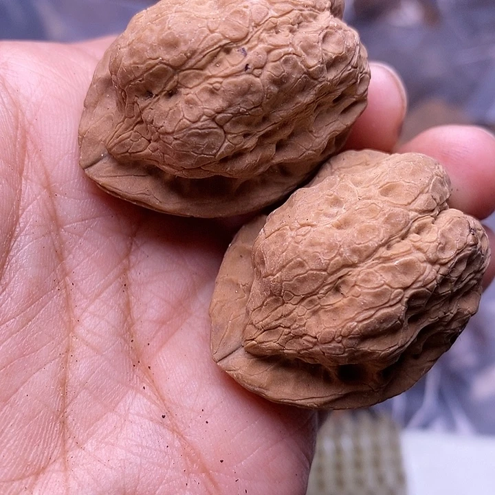 文玩核桃把件   177