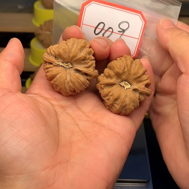 把件文玩核桃凹底