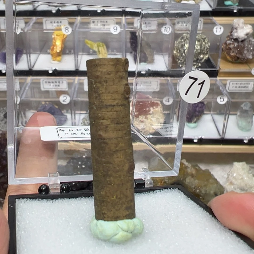 紫晶大型摆件（非配饰）银S925镶嵌