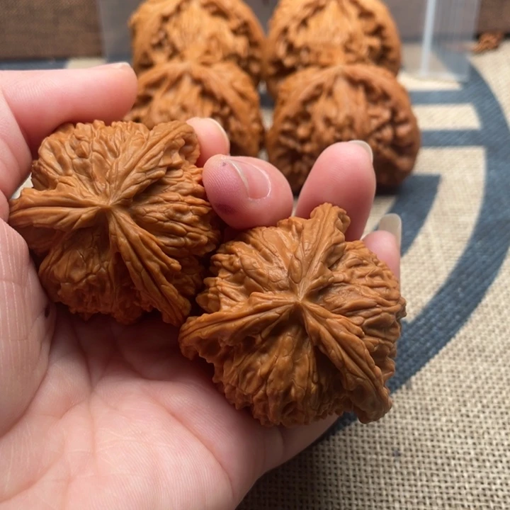 巴***哥核桃白狮子42核桃