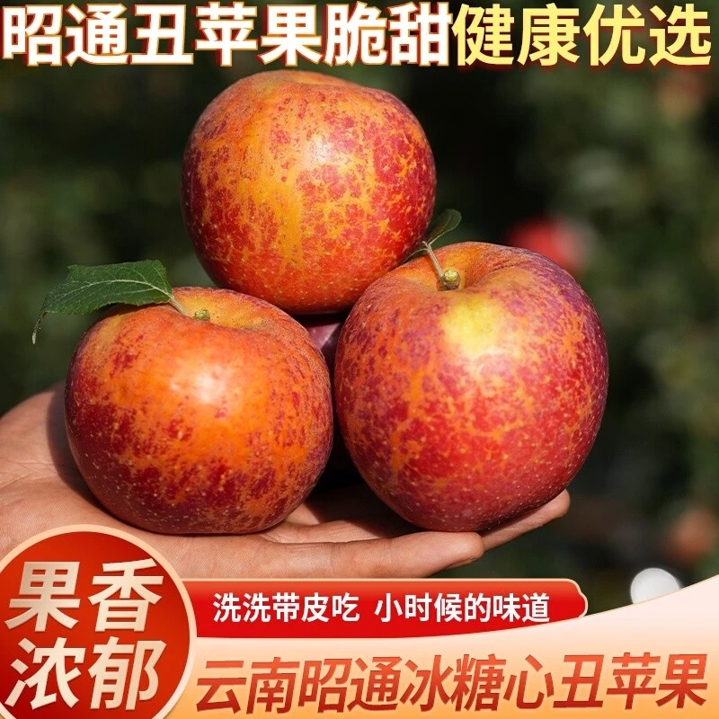 当季云南昭通丑苹果冰糖心新鲜红富士水果脆甜多汁5斤/8.8斤