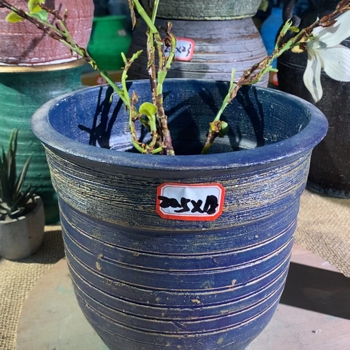 【闪购商品】正品现货