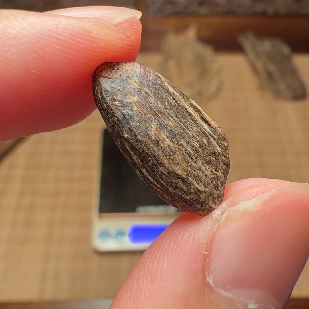 沉香香港西贡棋韵瓜子