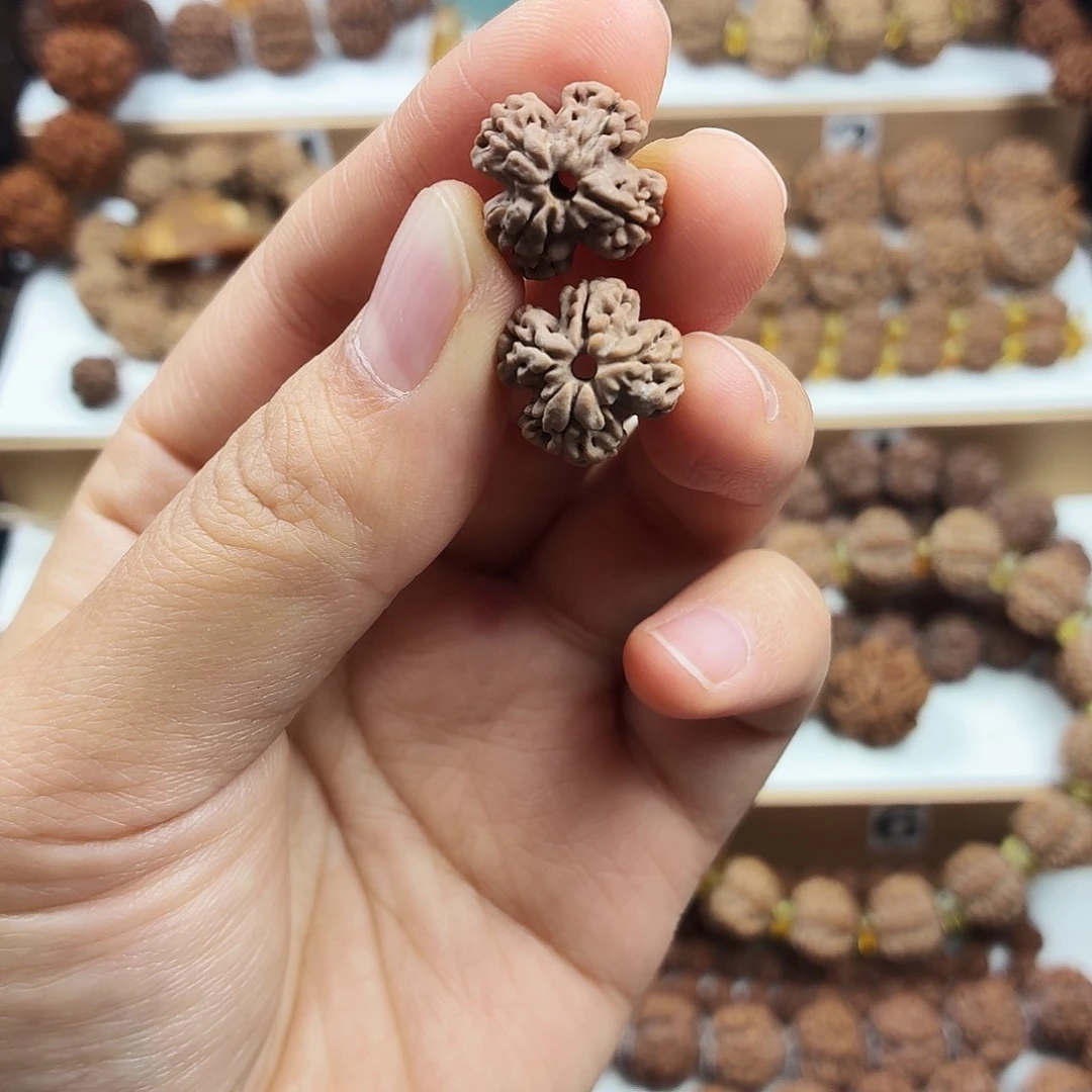 手串金刚菩提稀有精品四叶草