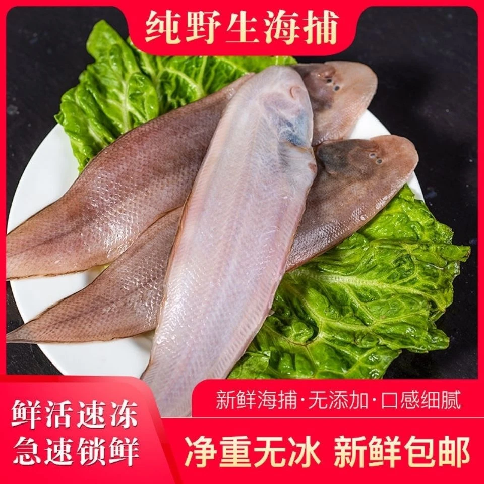 新鲜比目鱼适合香煎油炸龙利鱼新鲜舌头鱼新鲜踏板鱼每包20左右条