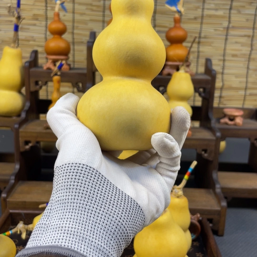 风***岸我们的生活方式是什么意思。我也